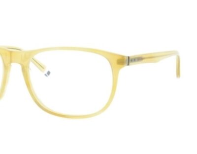 Gant Eyeglasses GA108 Color HNY Size 54-17-145