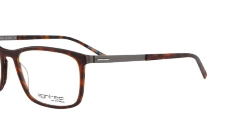 Brown tortoiseshell eyeglasses, Lighttec M Morel.